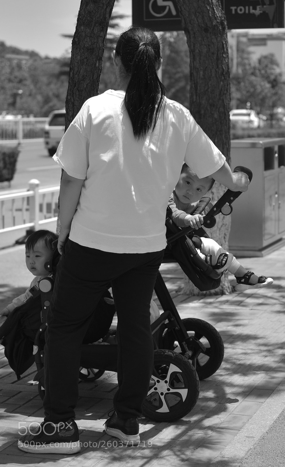 Nikon D750 sample photo. Untitled photography