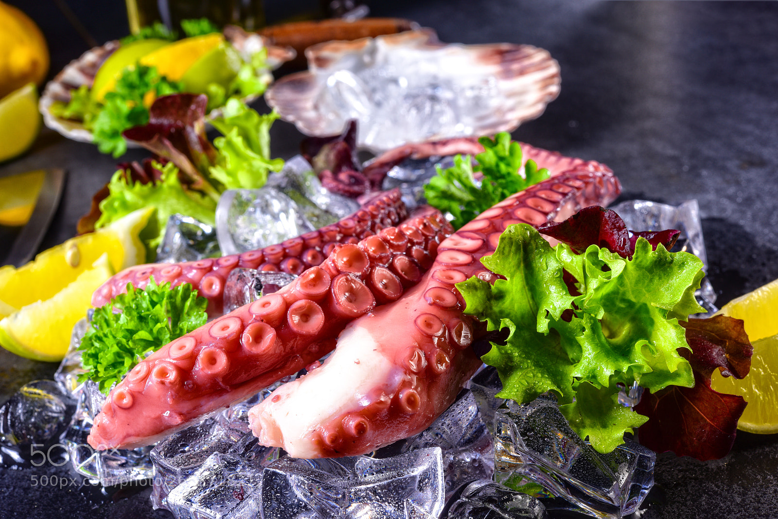 Nikon D810 sample photo. Raw octopus on the photography