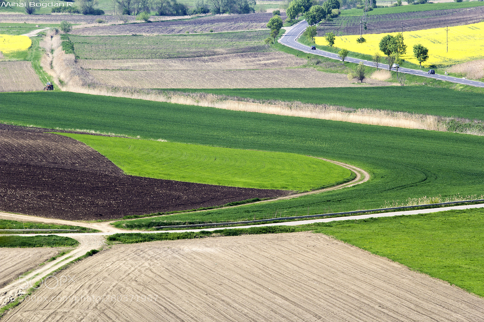 Canon EOS 60D sample photo. Field photography