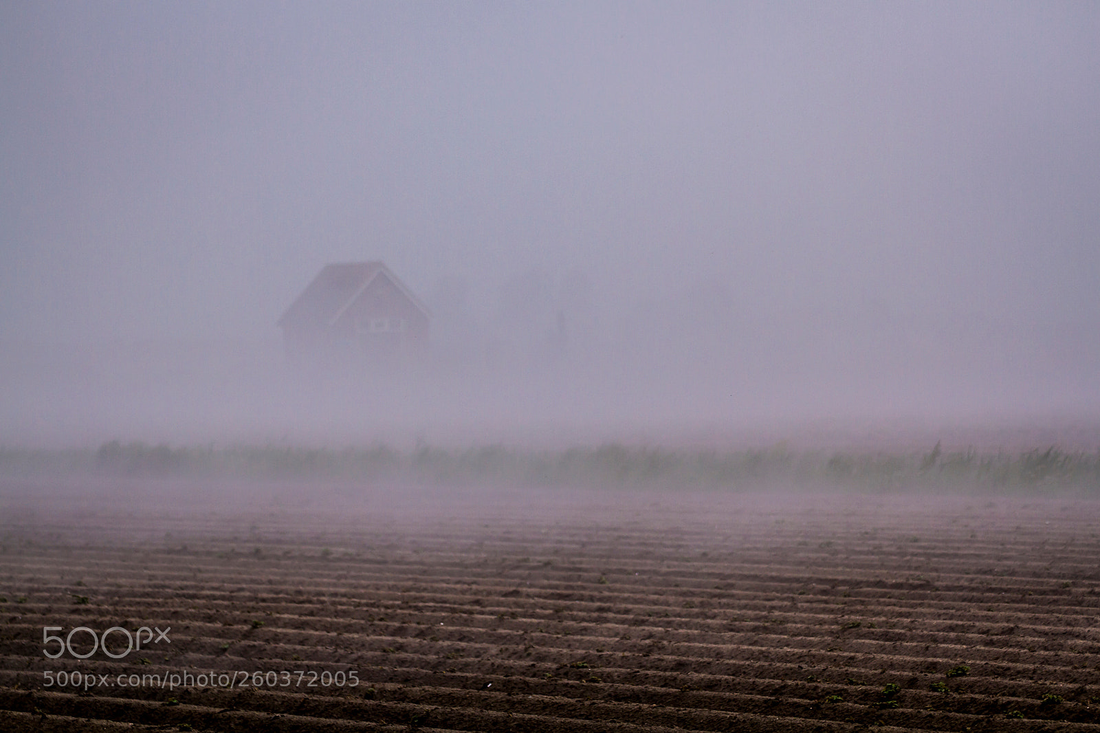 Canon EOS 7D sample photo. Misty day photography
