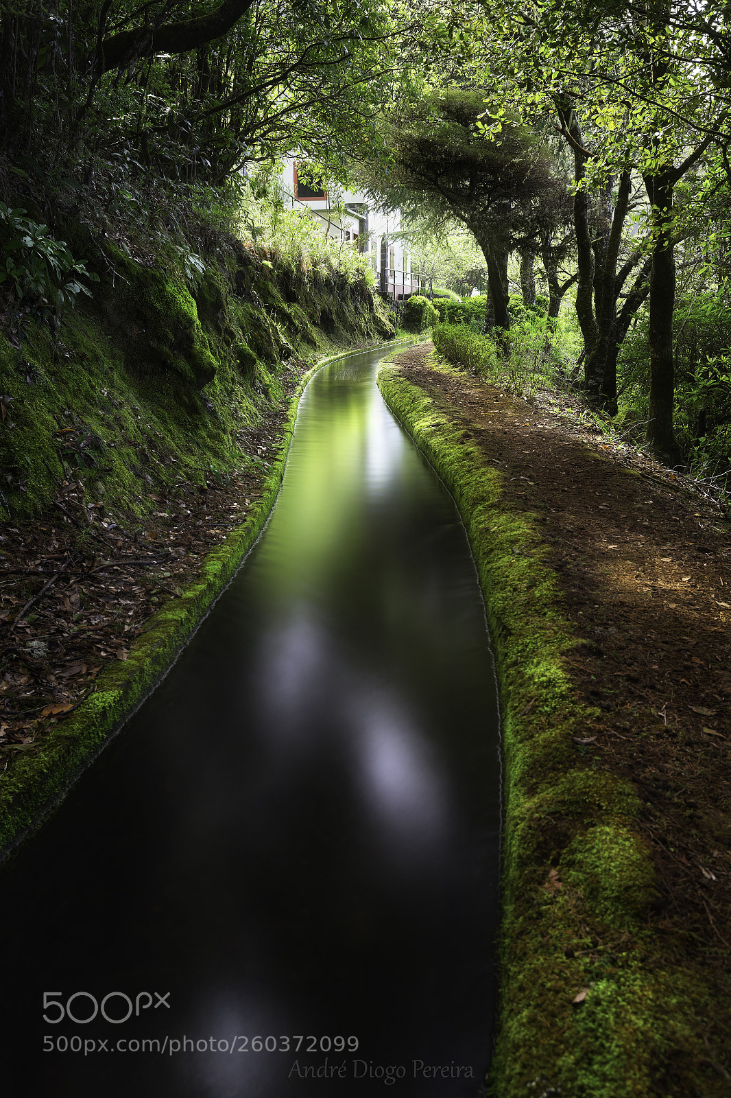 Canon EOS 6D sample photo. Levada do norte photography