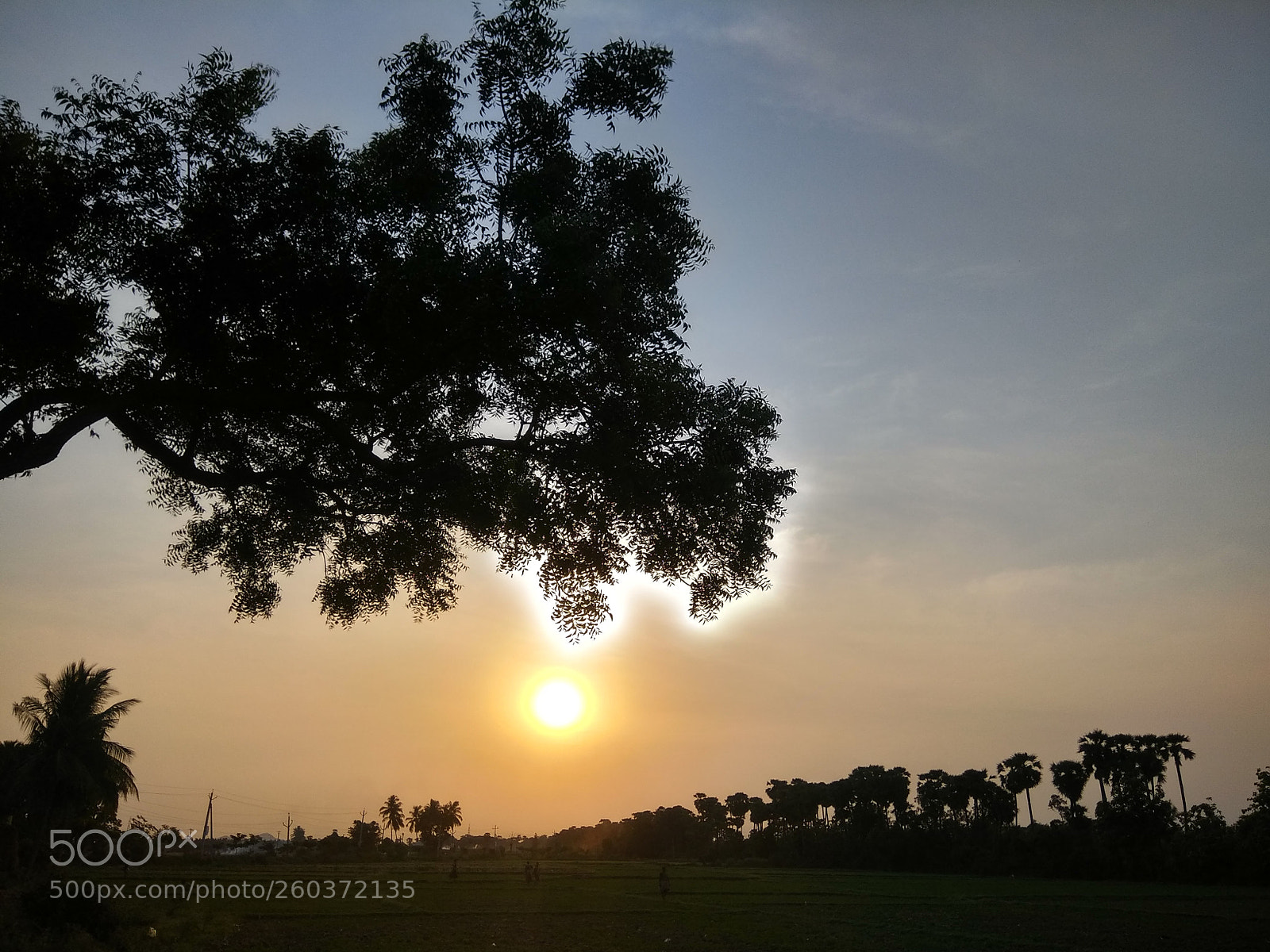Xiaomi Redmi Note 4 sample photo. Time to take rest photography