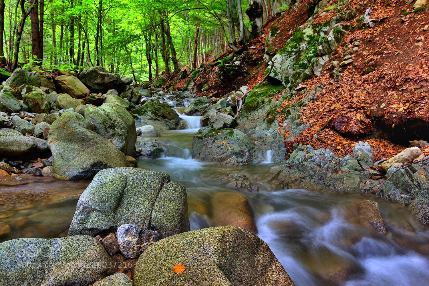 Canon EOS 60D sample photo. Slovak nature 99. photography