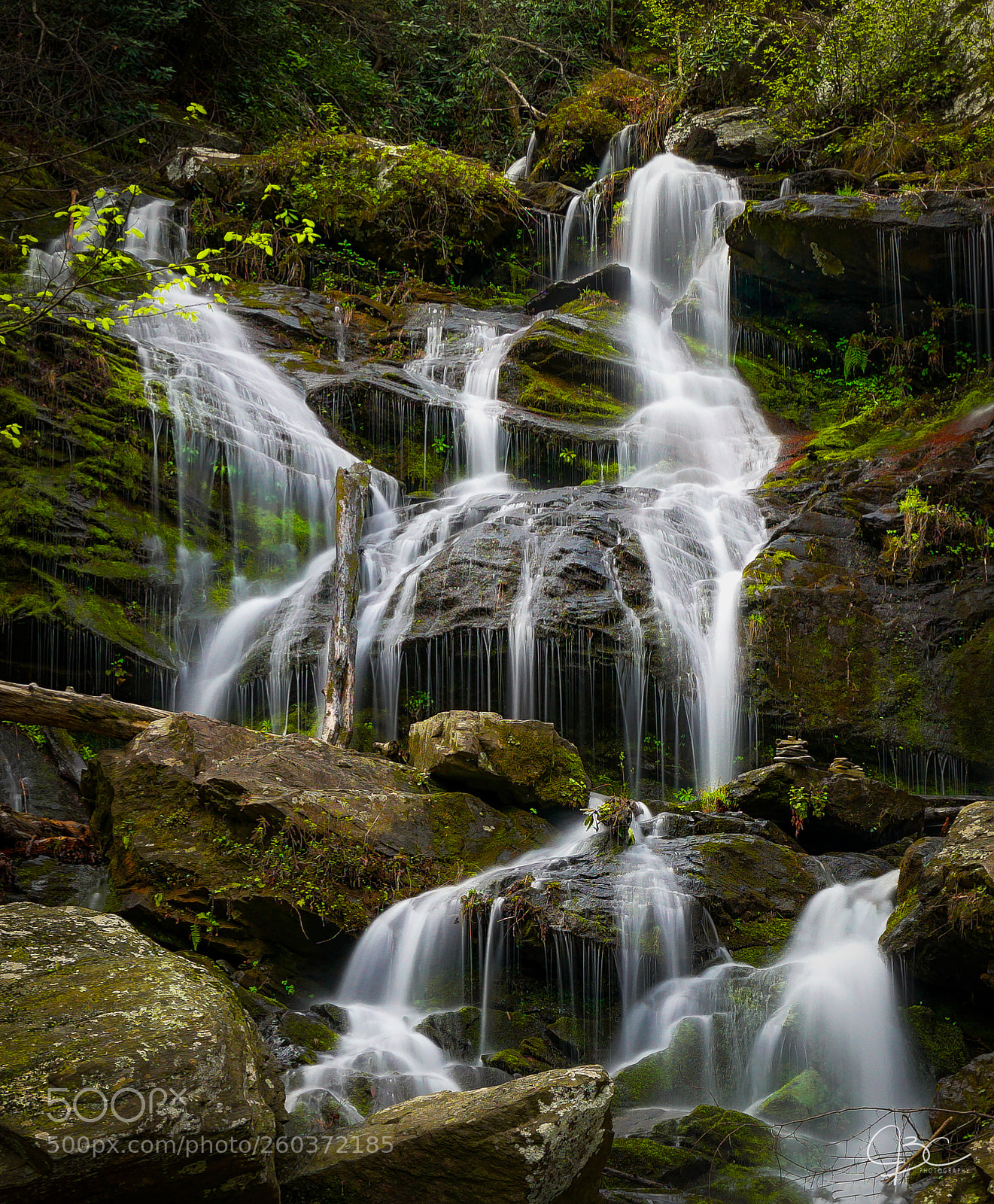 Sony a7R II sample photo. Catawba river falls photography