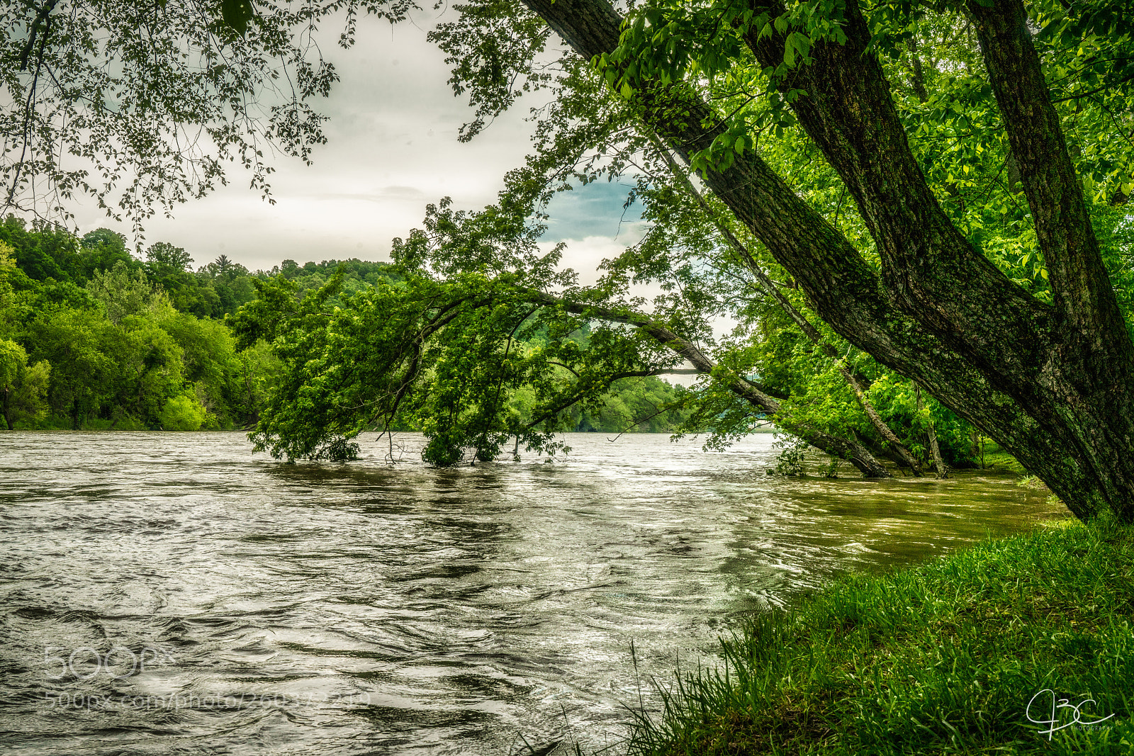 Sony a7R II sample photo. Flood stage! photography
