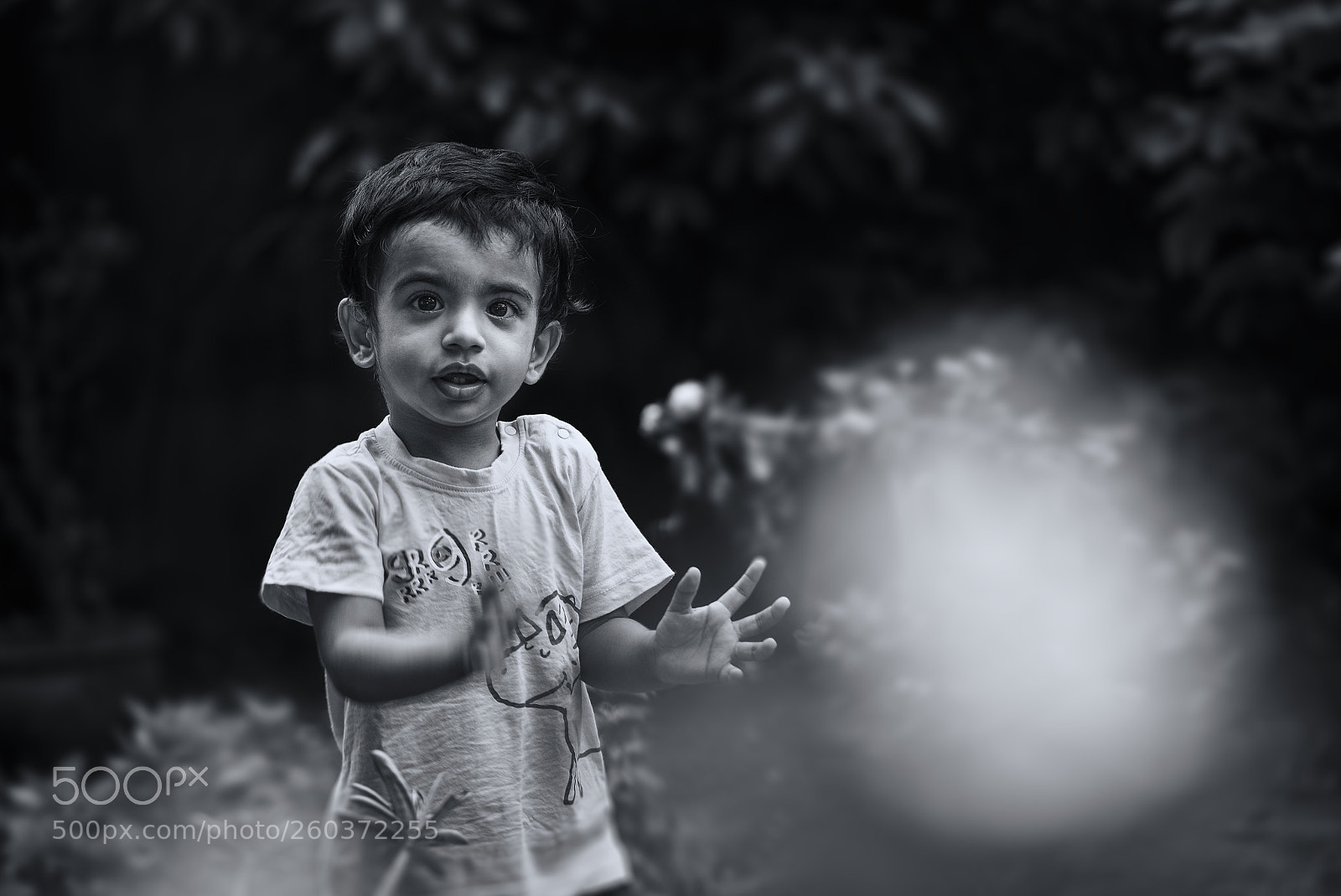 Nikon D750 sample photo. Catch photography