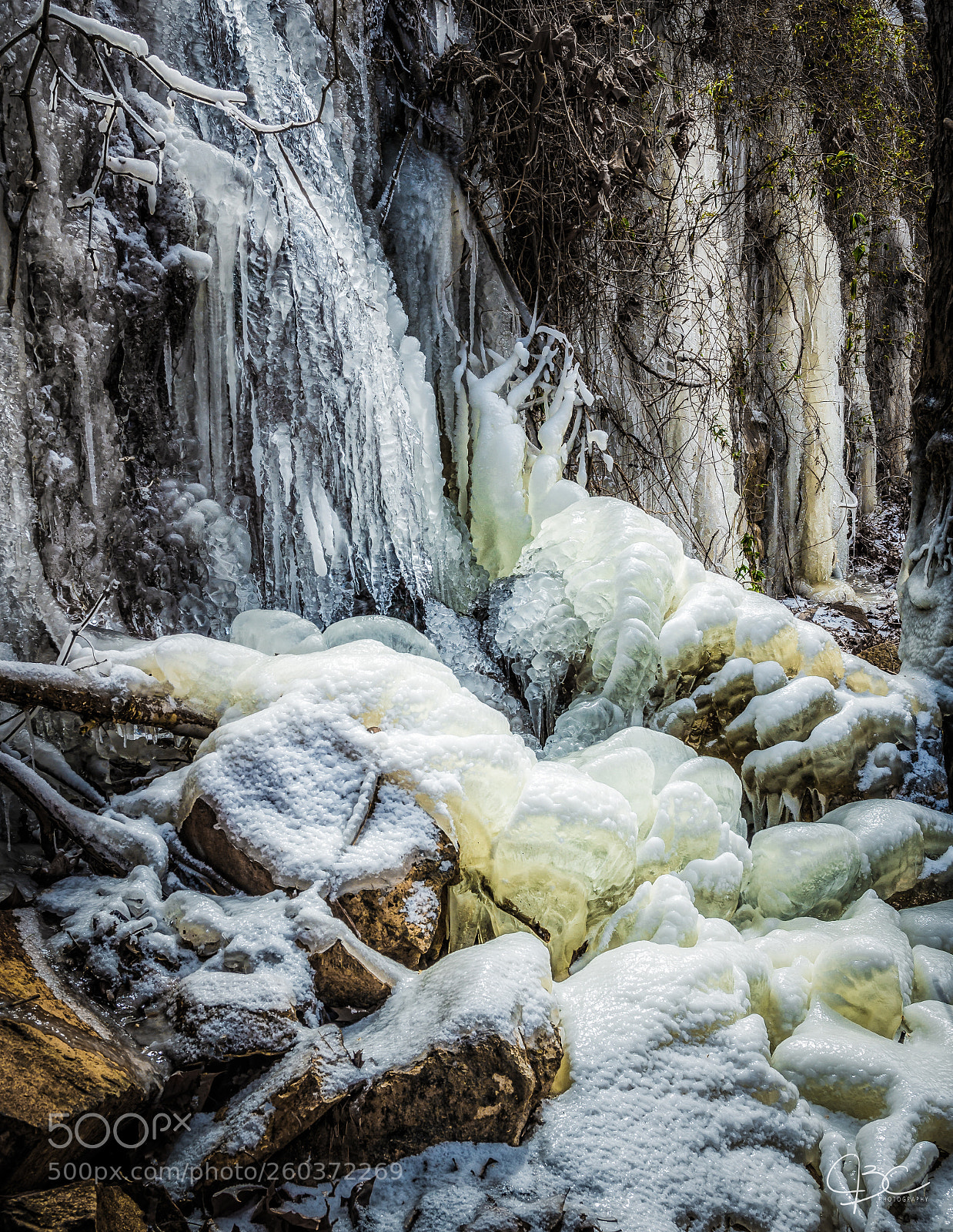 Nikon D800 sample photo. Frozen photography