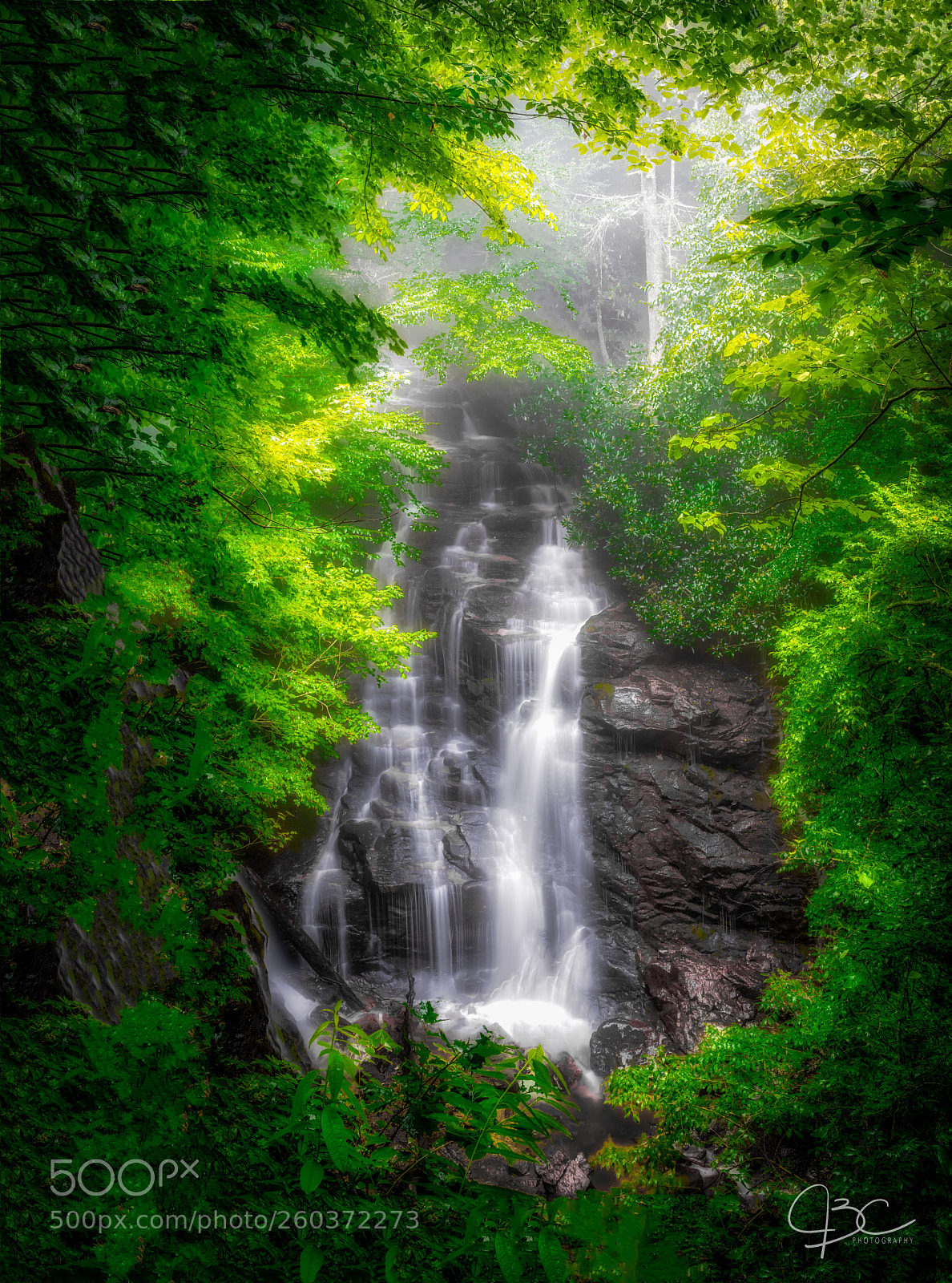 Nikon D800 sample photo. Foggy soco falls photography