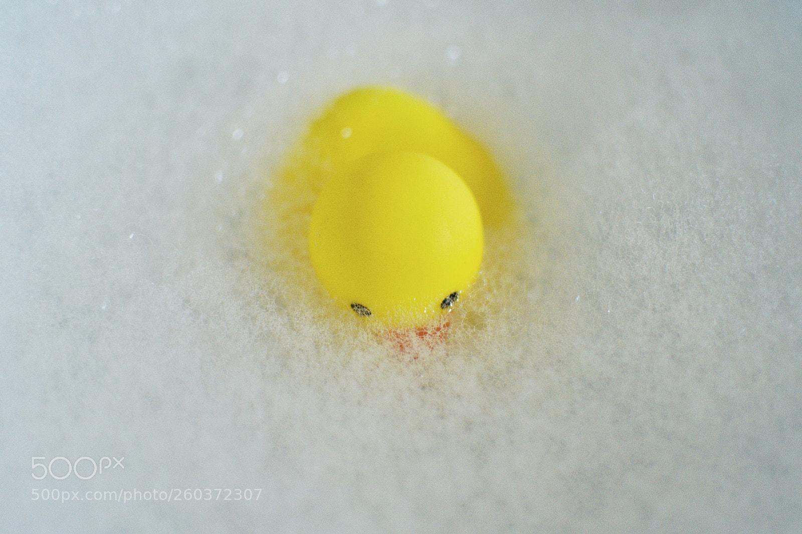 Nikon D750 sample photo. Untitled photography