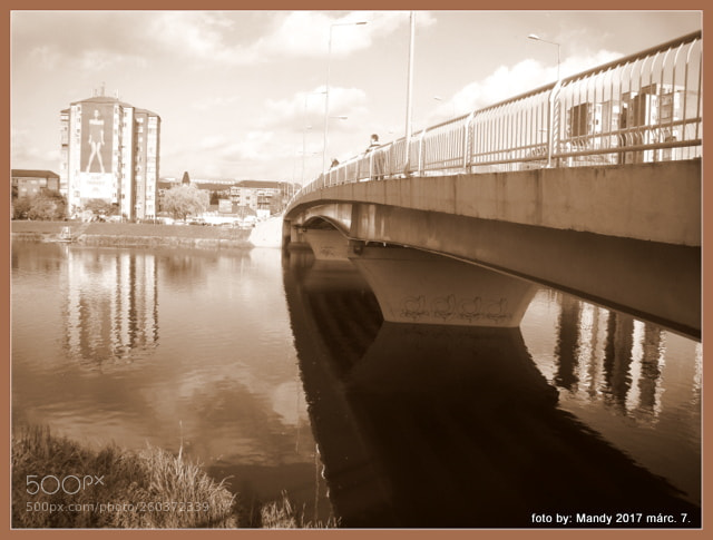 Sony Cyber-shot DSC-H50 sample photo. Bridge photography