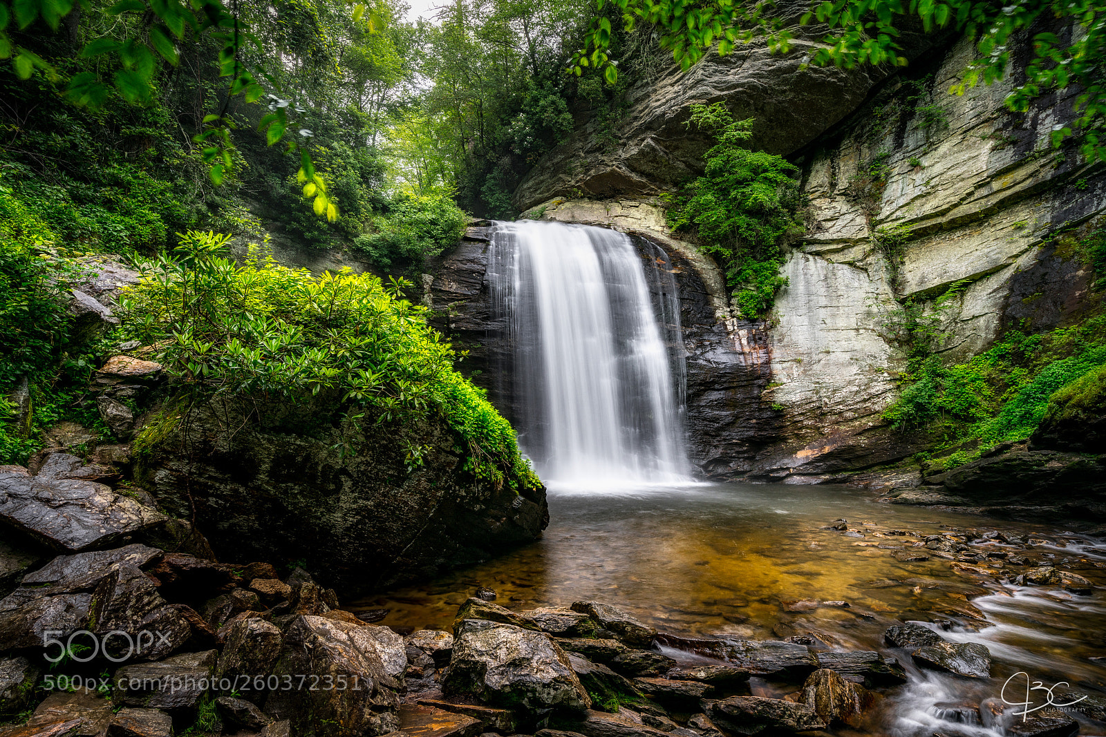 Sony a7R II sample photo. Lgf photography