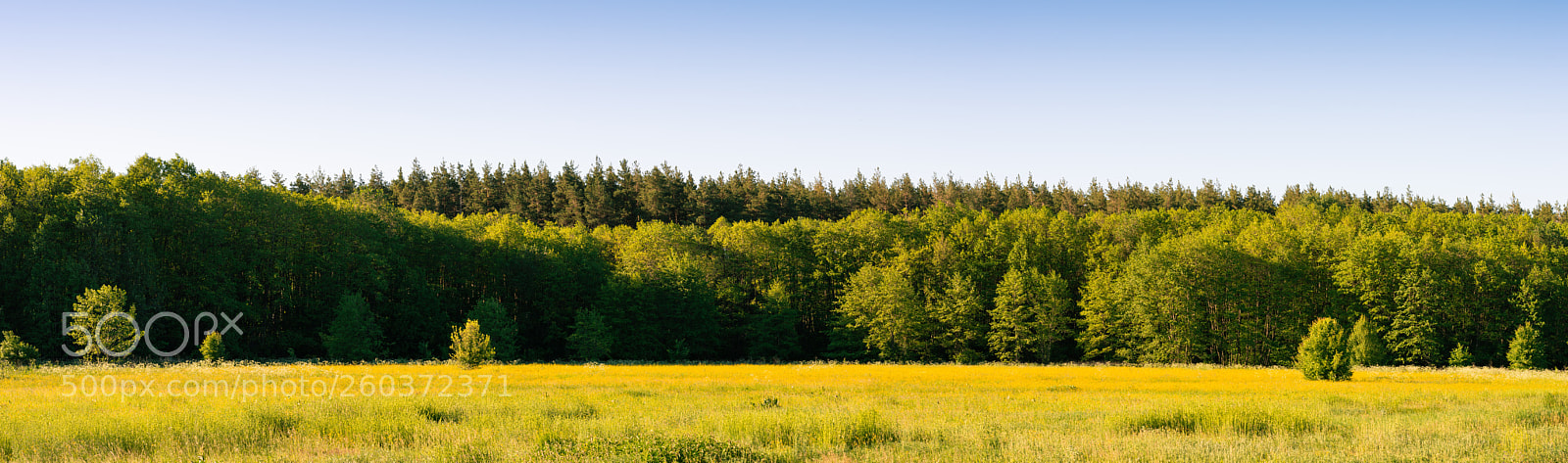 Nikon D3200 sample photo. Kharkiv region. photography
