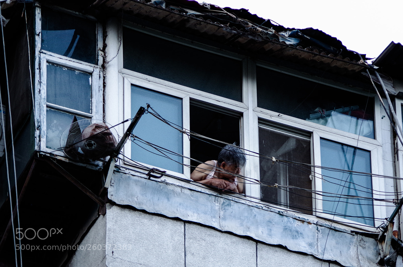 Pentax K-50 sample photo. Untitled photography