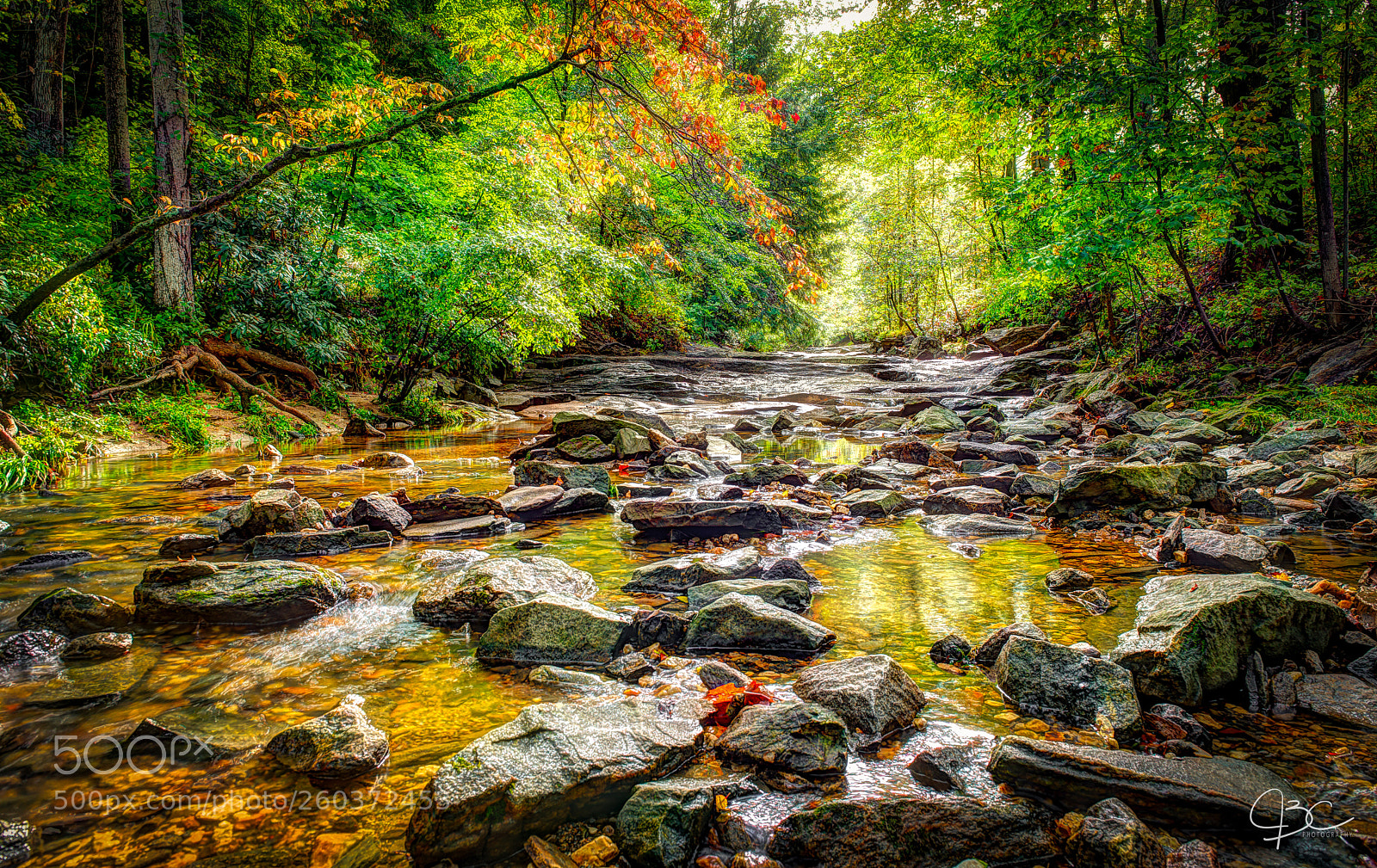 Nikon D800 sample photo. Unca rocky creek photography