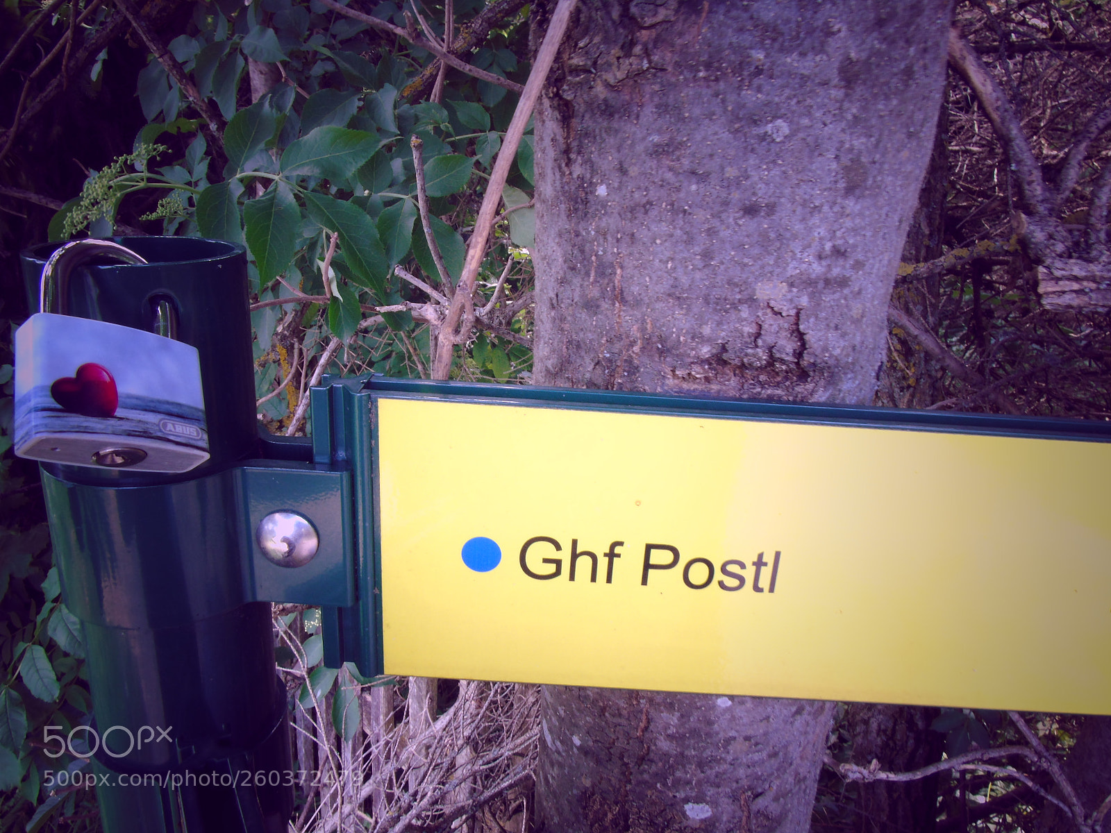 Sony Cyber-shot DSC-H400 sample photo. Love lock. photography