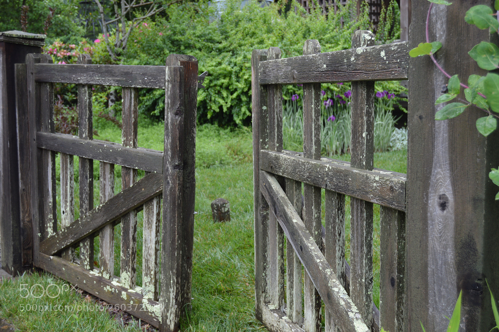 Nikon D3200 sample photo. Gates to heaven photography