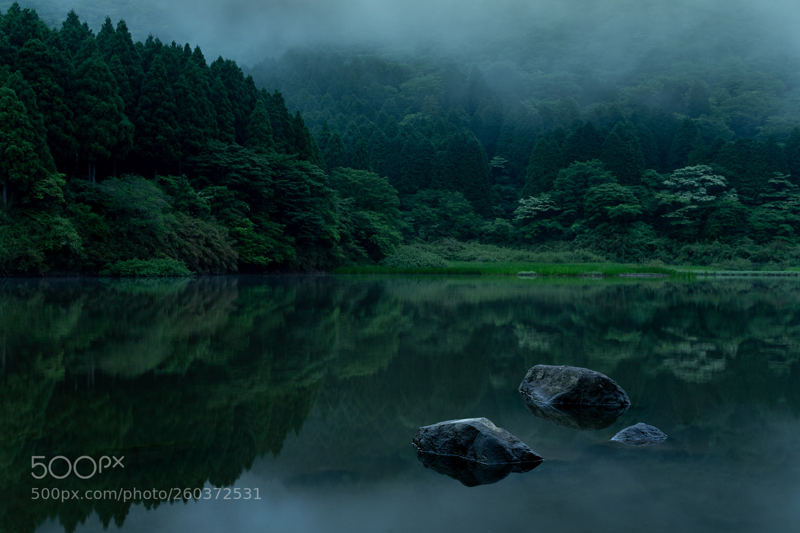 Sony a7 II sample photo. Mysterious pond photography