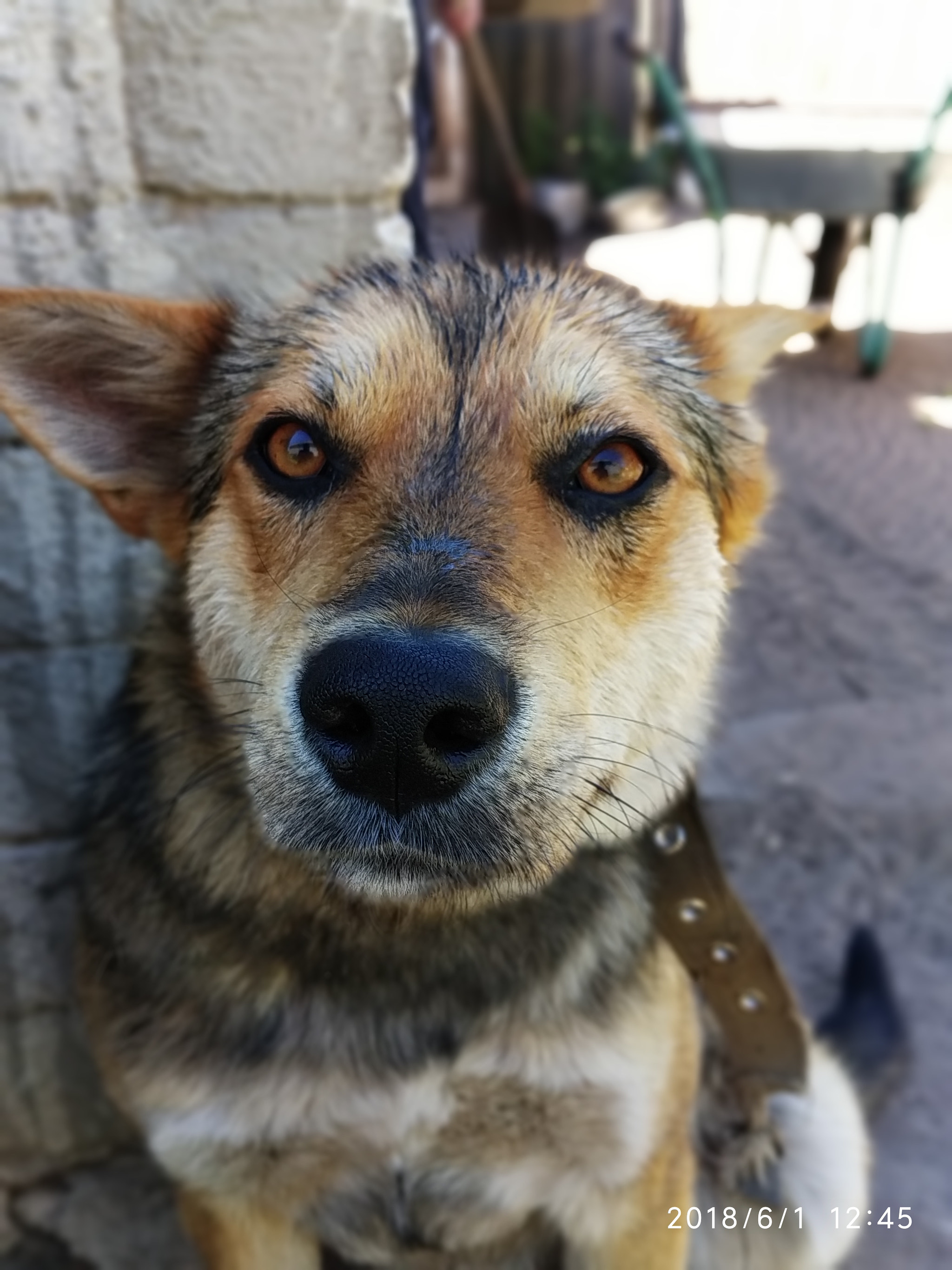 Xiaomi Redmi S2 sample photo