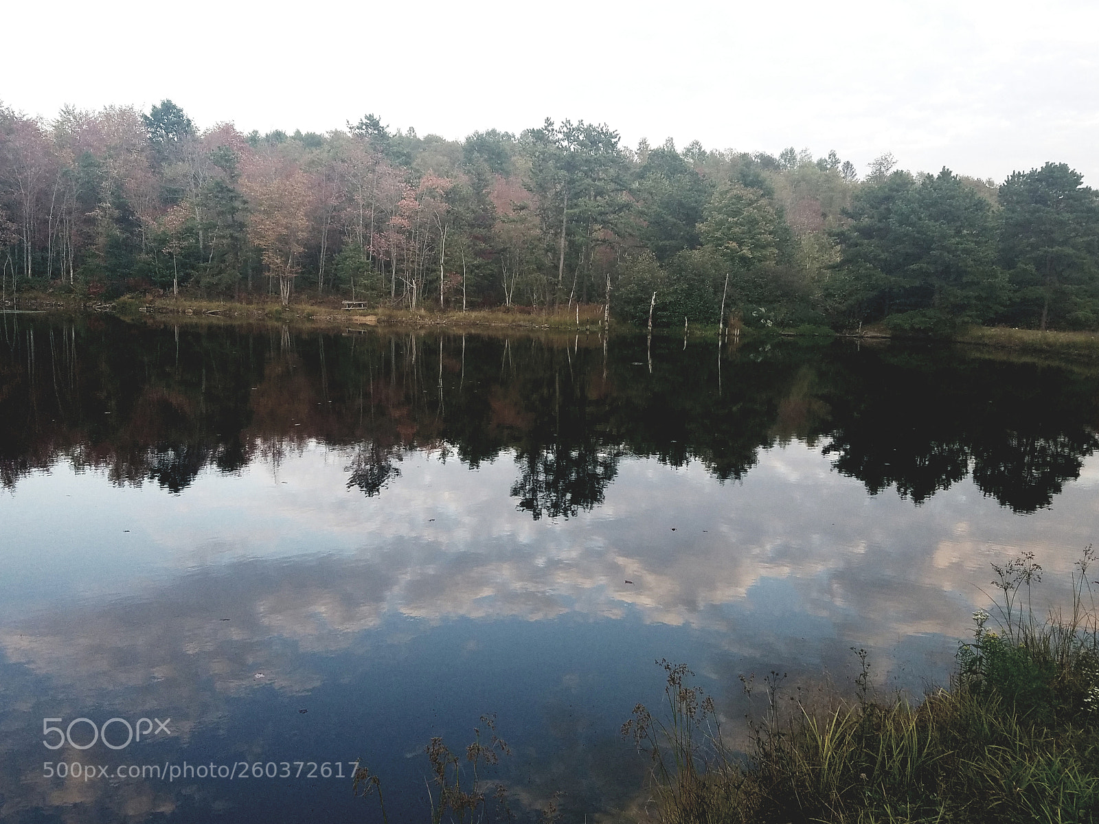 Samsung Galaxy S7 Edge sample photo. 20170917_203237.jpg photography