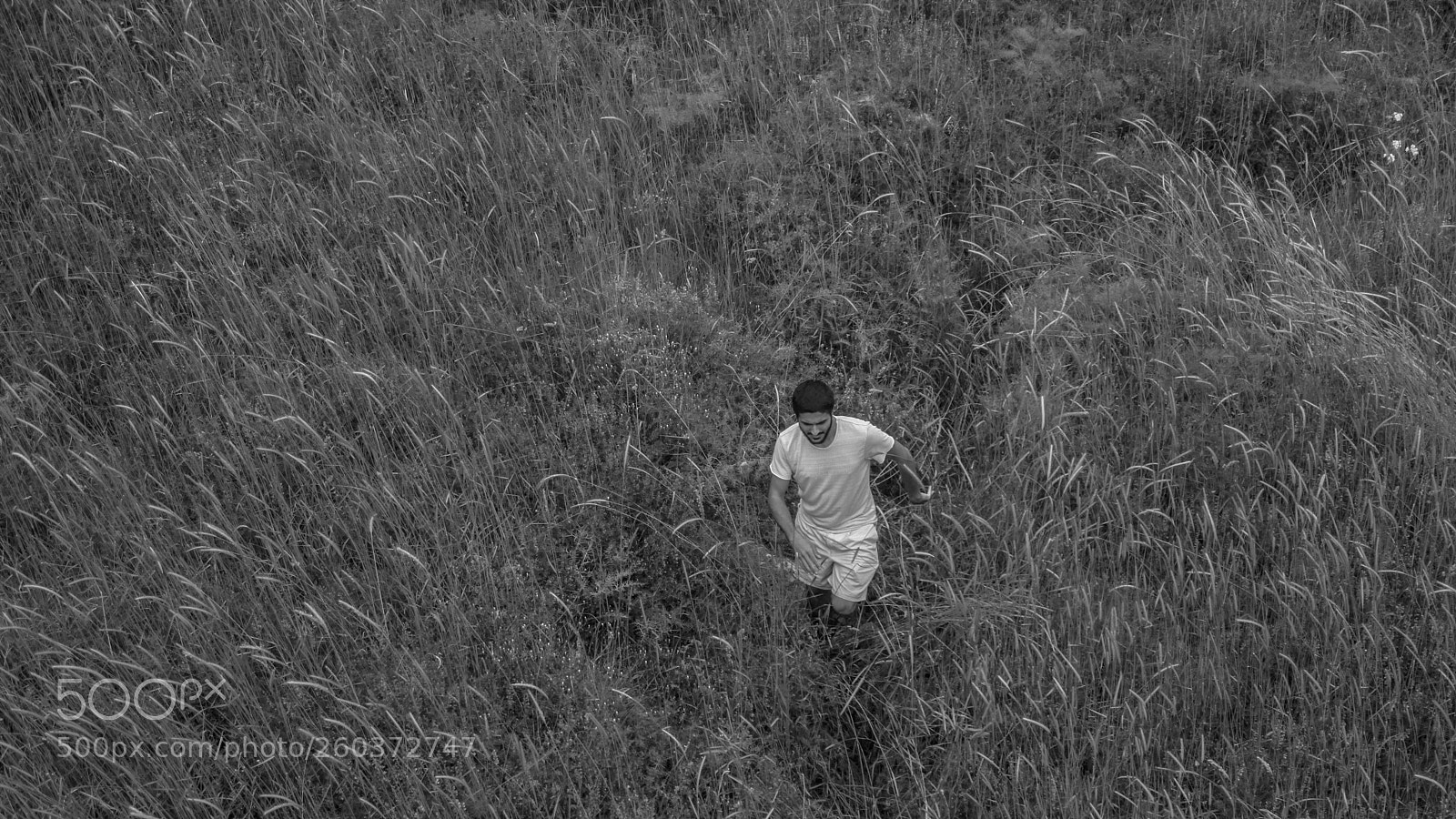 Canon EOS 5D Mark II sample photo. Back to war photography