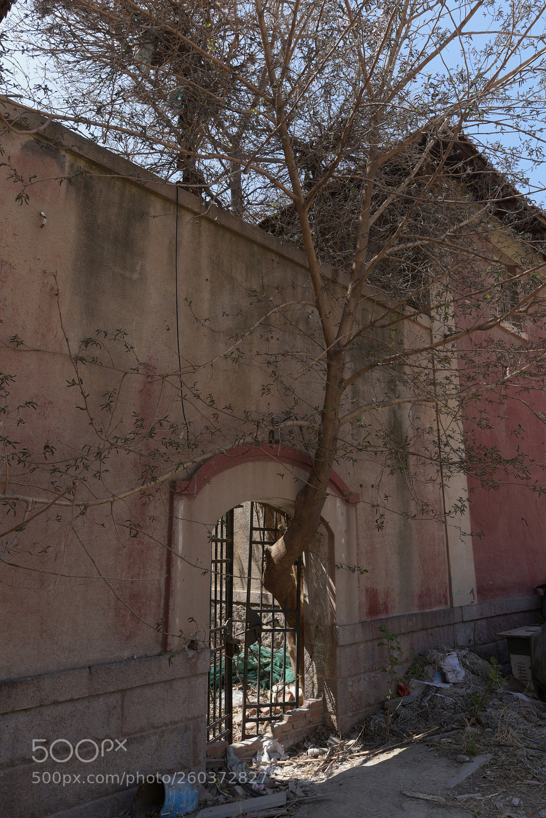 Nikon D750 sample photo. Untitled photography