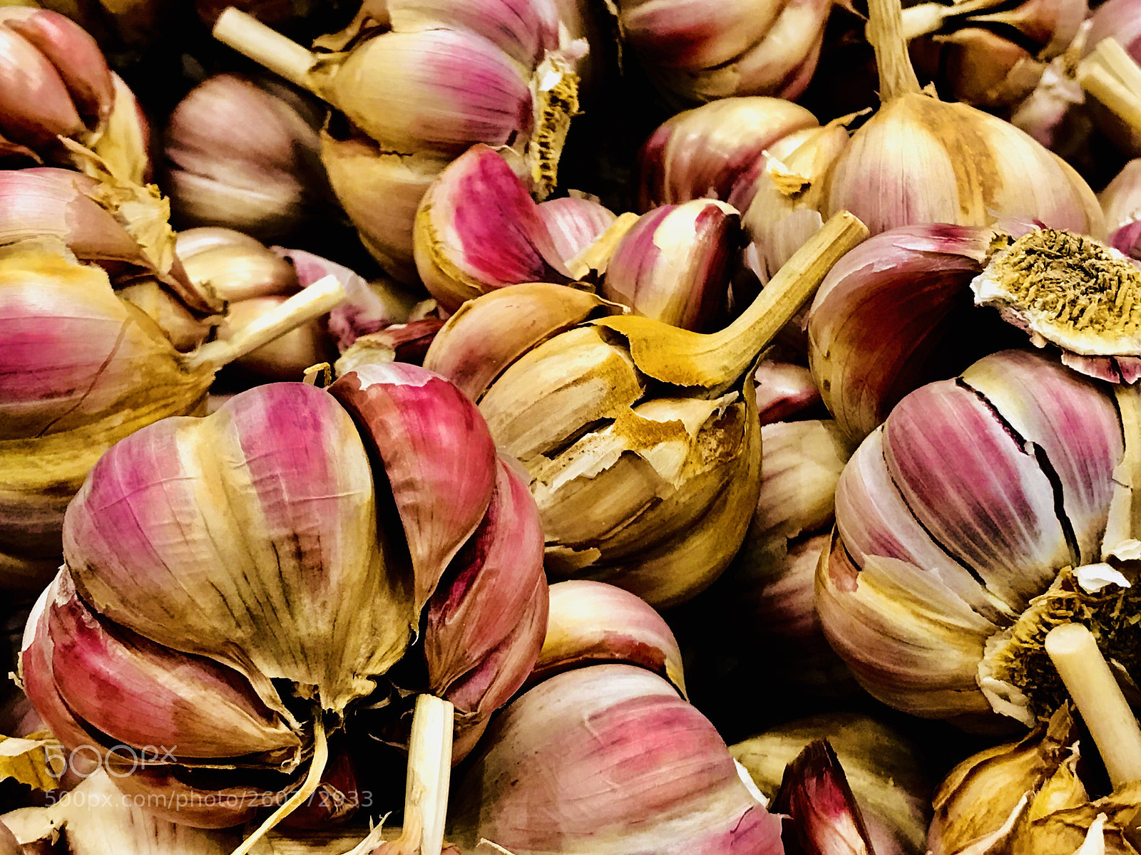 Apple iPhone 7 Plus sample photo. Garlic  photography