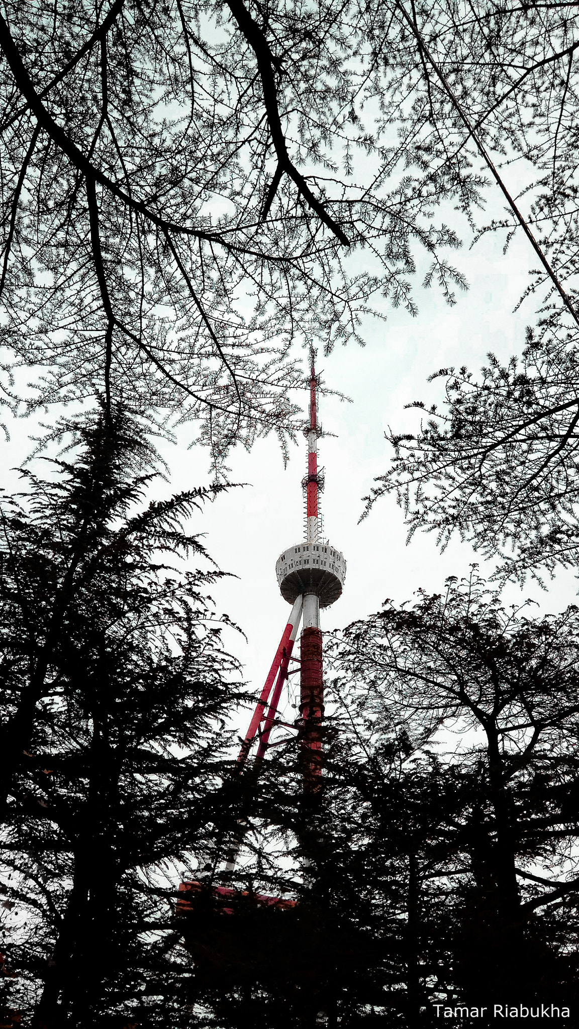 Xiaomi Redmi Note 4X sample photo. Tv tower photography