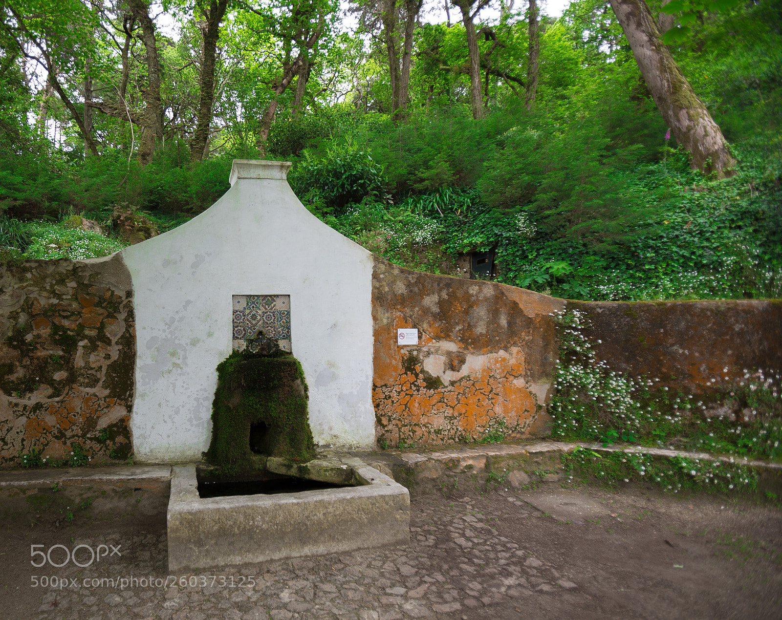 Canon EOS 6D sample photo. Fonte da pena photography