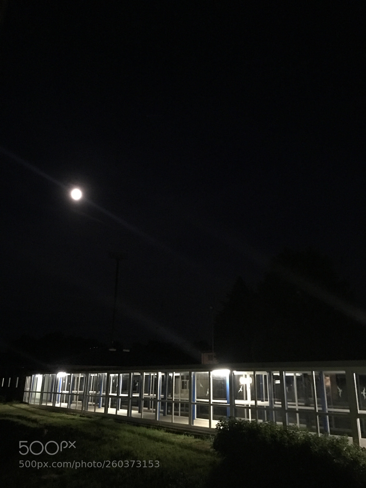 Apple iPhone 6s Plus sample photo. Untitled photography