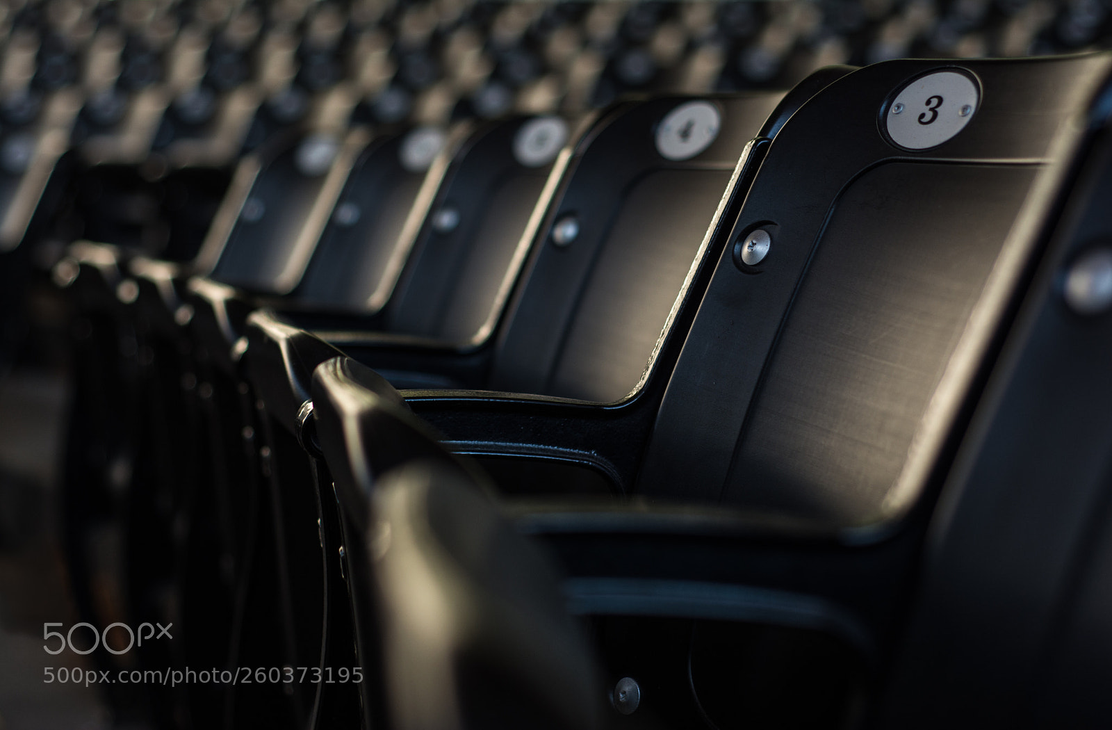 Nikon D7100 sample photo. Audience photography