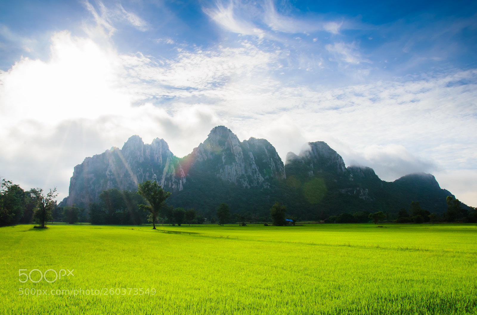 Nikon D7000 sample photo. Field with high mountain photography