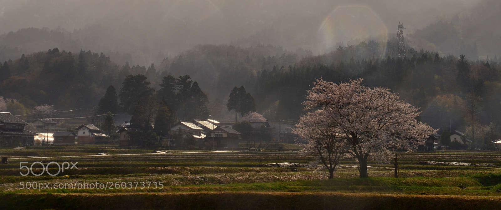 Nikon D610 sample photo. Early spring photography