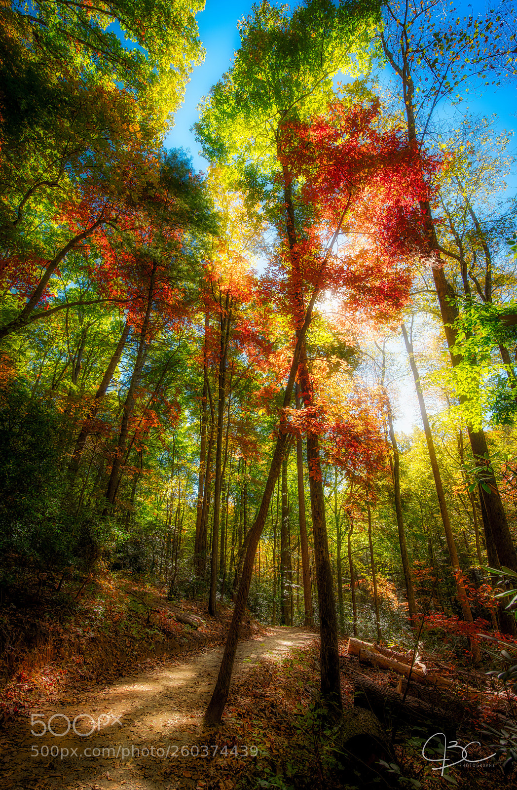 Nikon D800 sample photo. Tom's creek trail photography