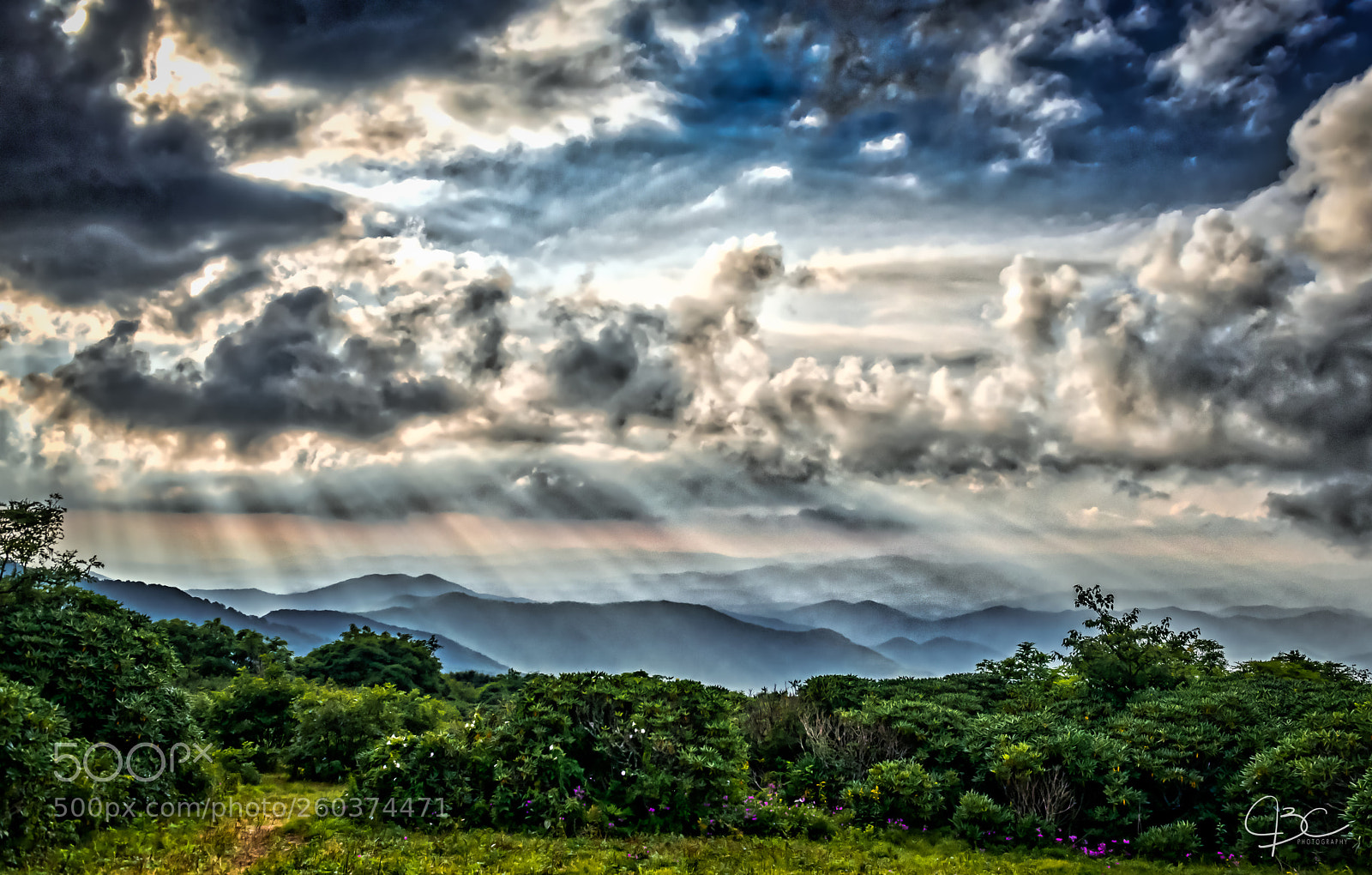 Nikon D800 sample photo. Top of craggy gardens photography