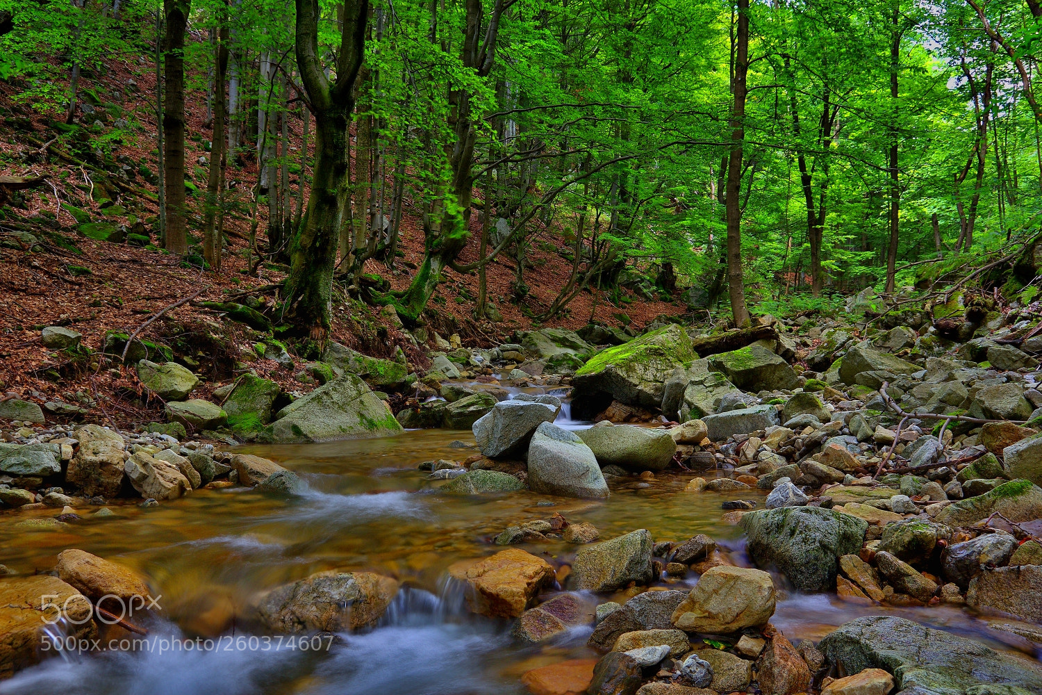 Canon EOS 60D sample photo. Slovak nature 100. photography