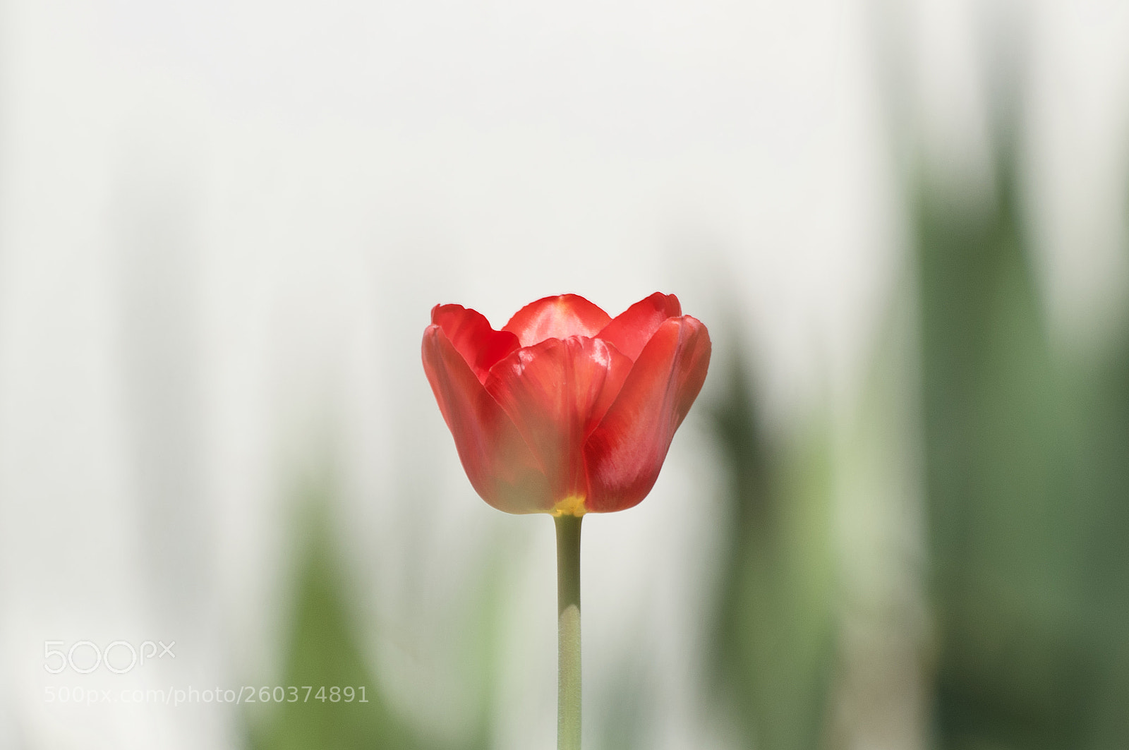 Nikon D3200 sample photo. Fullsizeoutput photography