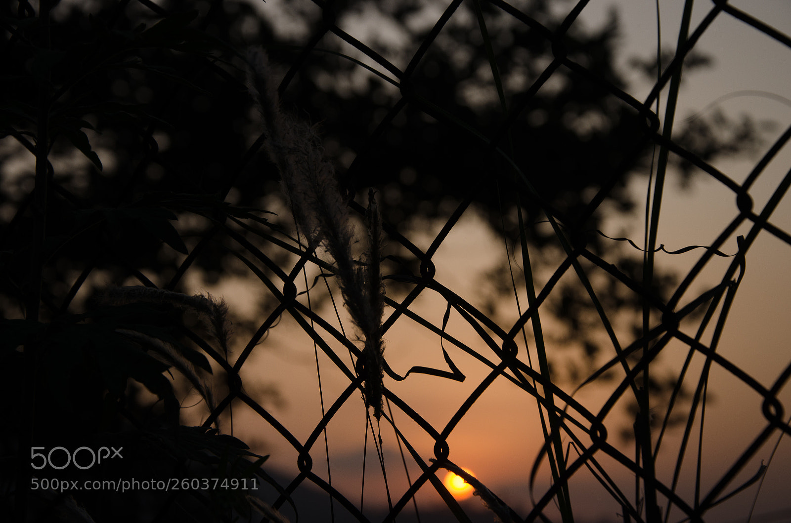 Nikon D7000 sample photo. Dusk photography