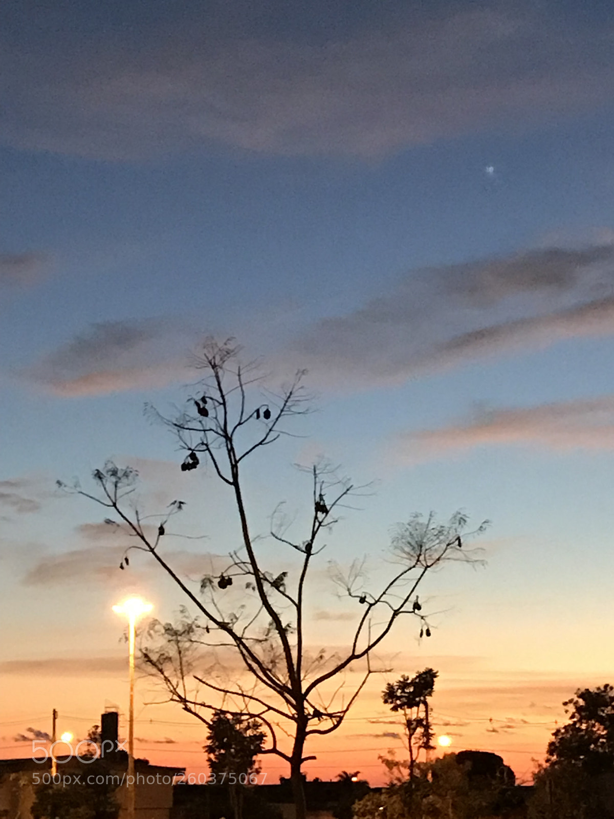 Apple iPhone 7 sample photo. Untitled photography