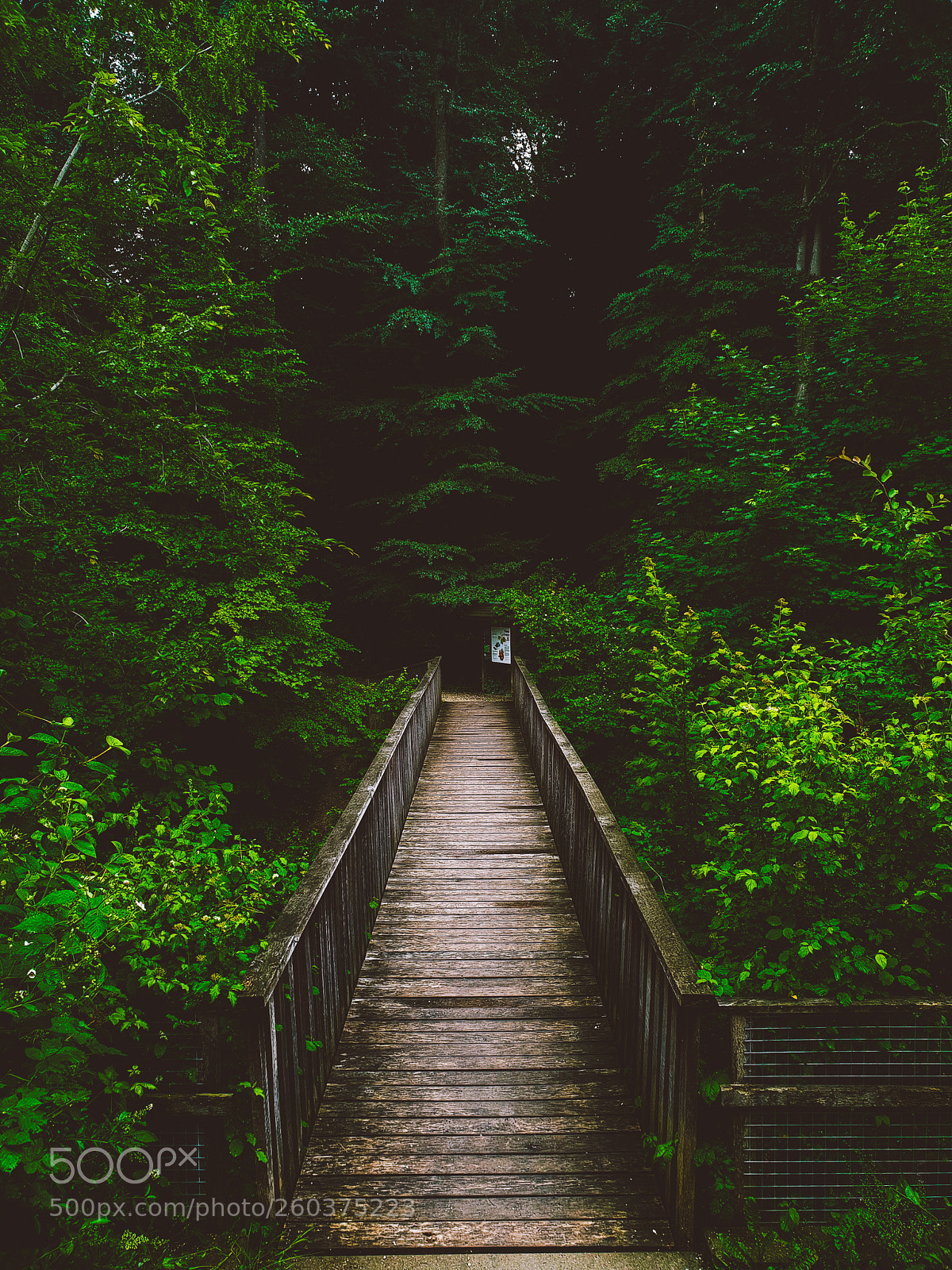Samsung Galaxy S9 sample photo. Wooden bridge photography