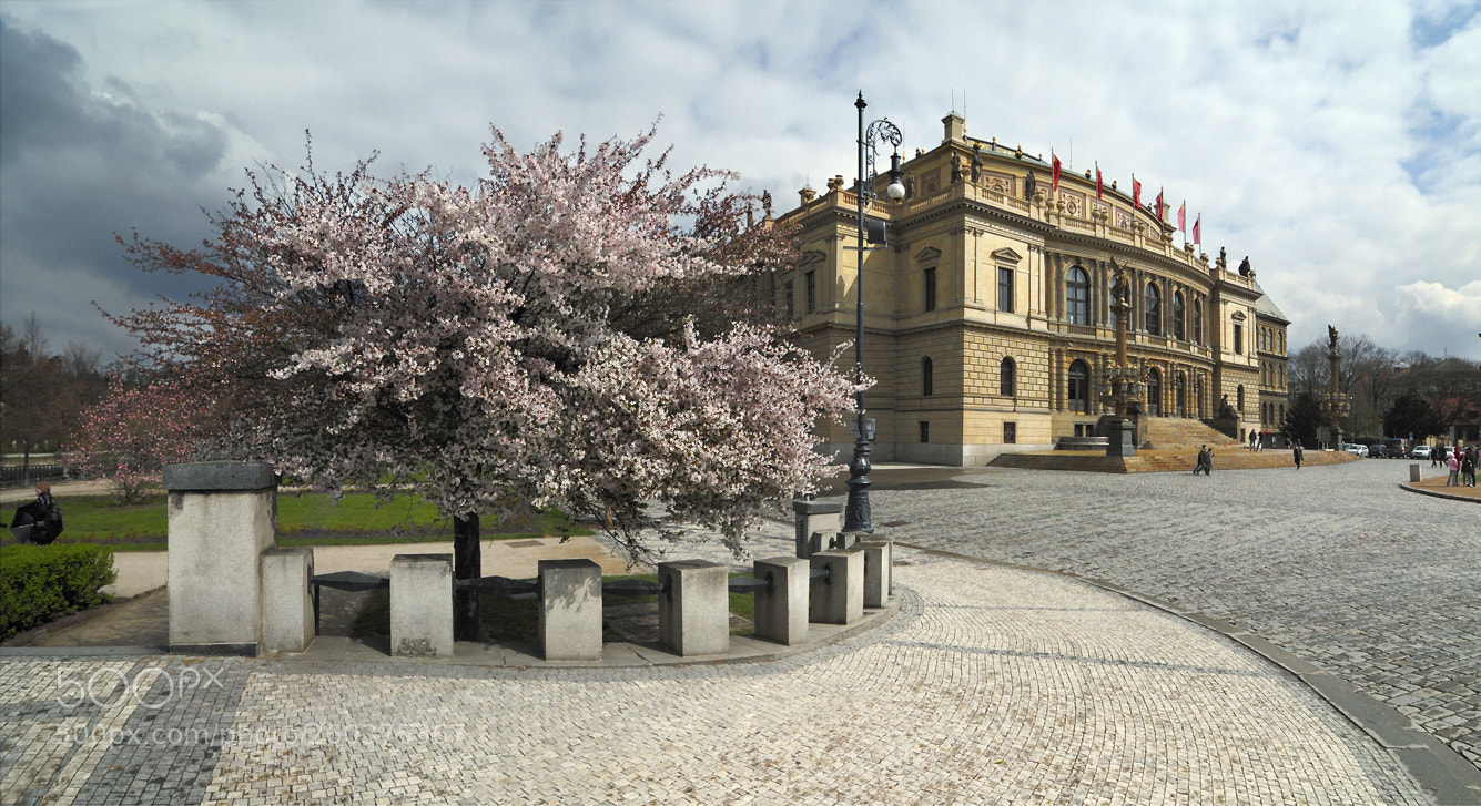 Nikon D300 sample photo. Prague spring photography