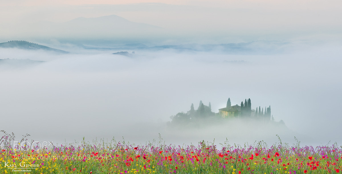 Nikon D750 sample photo. Romantic morning (tuscany) photography
