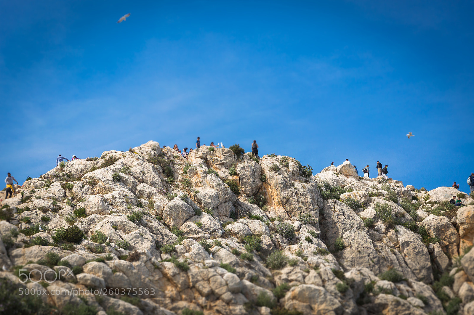 Nikon D3200 sample photo. Parque natural de penyal photography