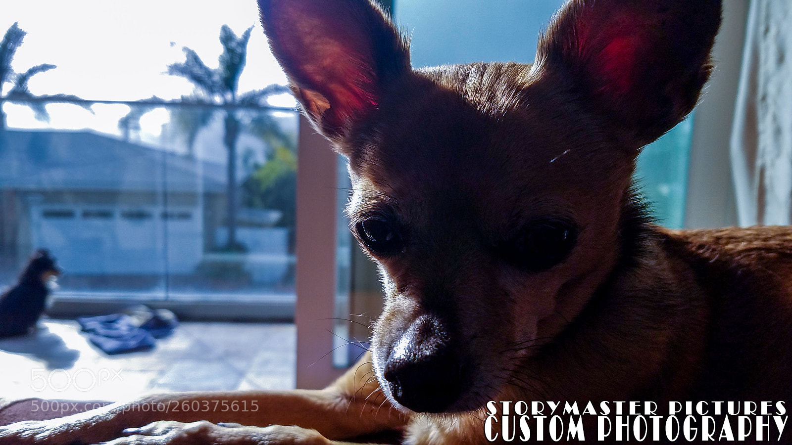 Samsung Galaxy S7 Edge sample photo. Bay & shadow photography