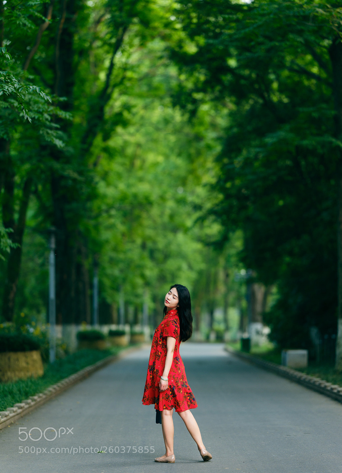 Fujifilm GFX 50S sample photo. Untitled photography