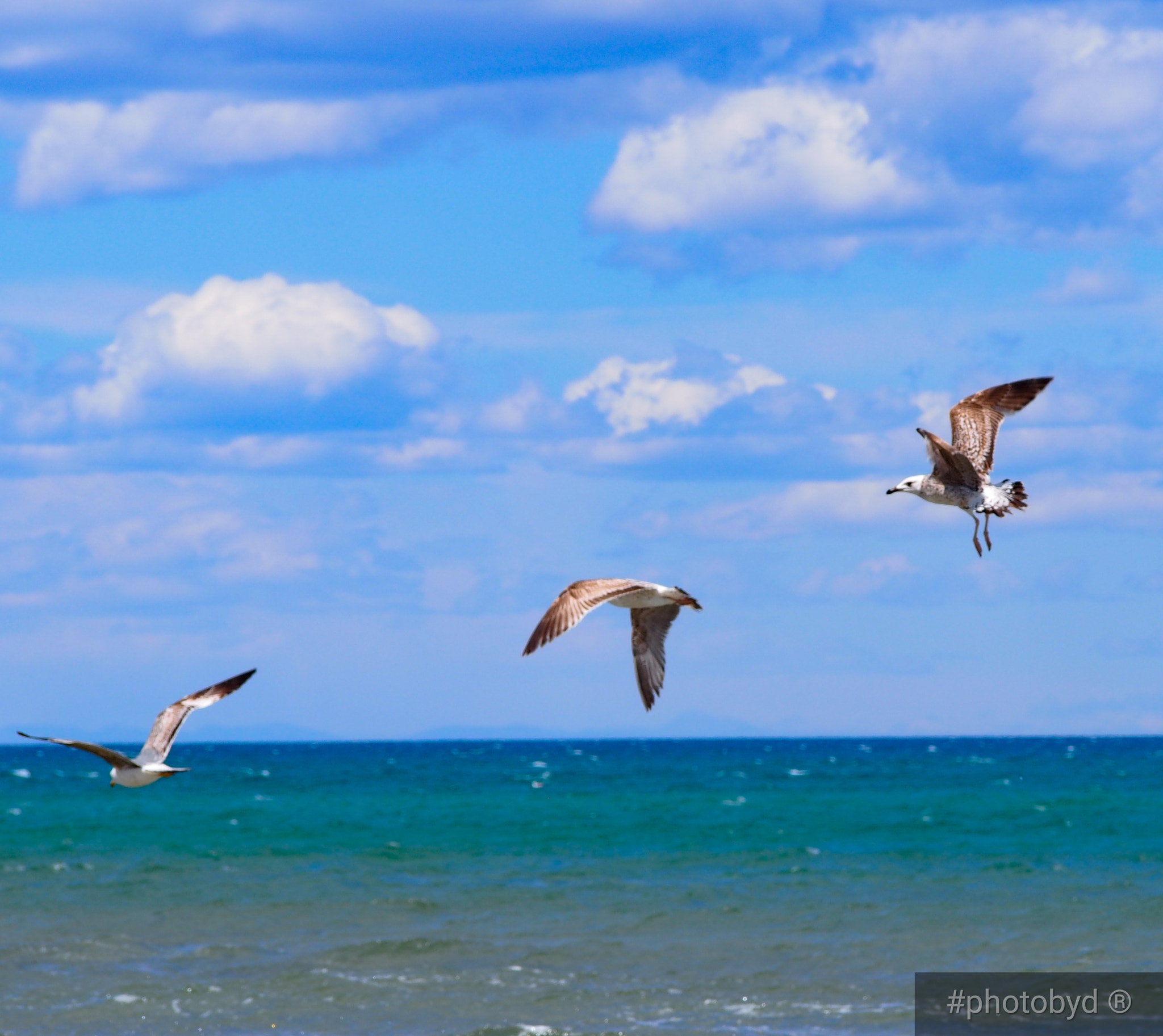 Olympus PEN E-PL6 sample photo. Sea photography