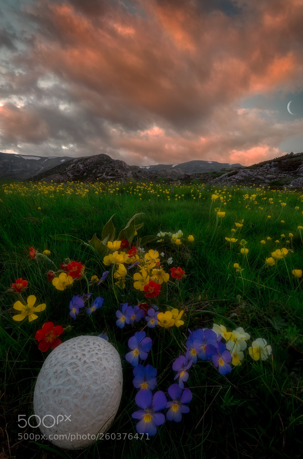 Nikon D810 sample photo. Mountain requiem photography