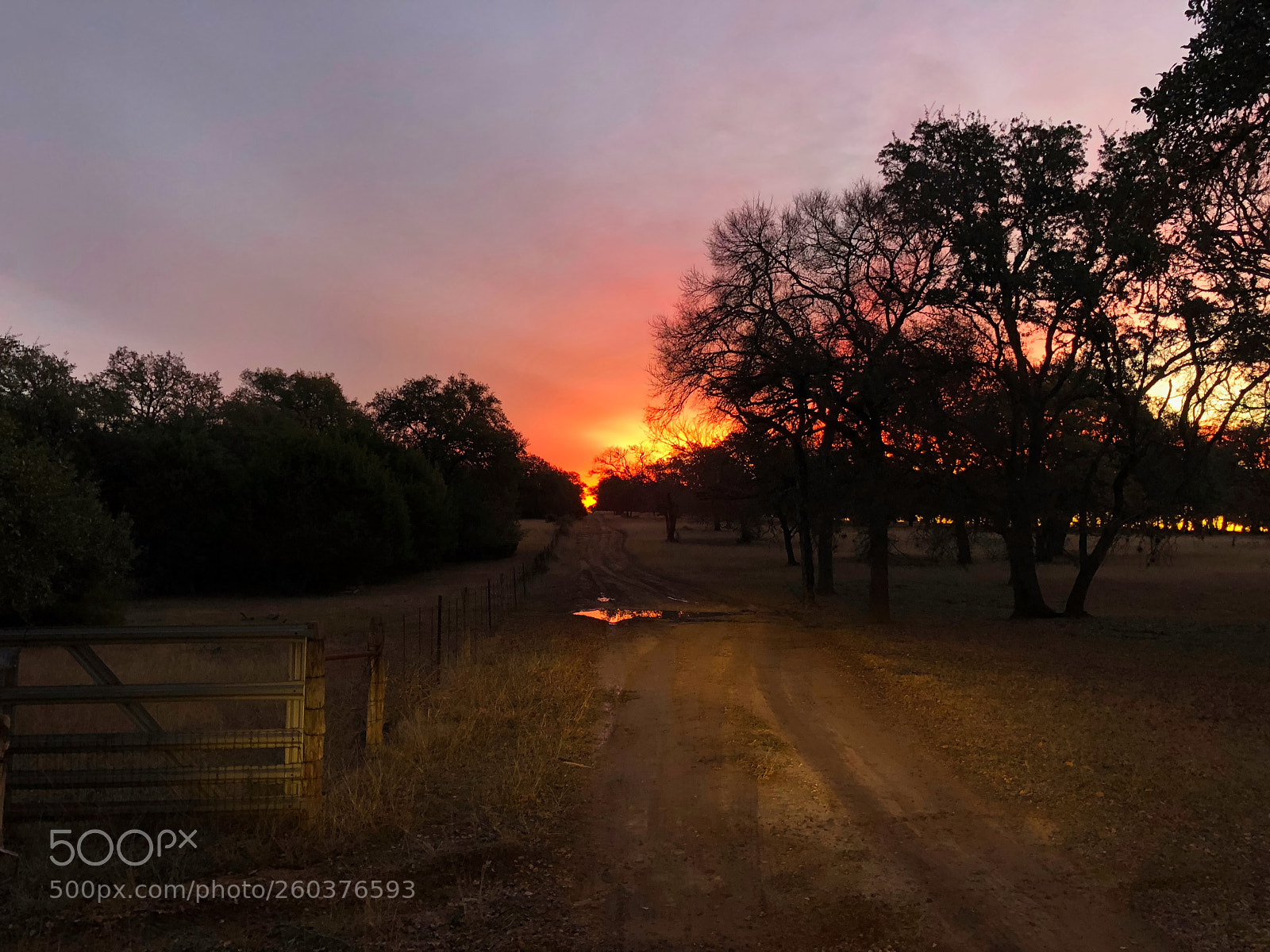 Apple iPhone X sample photo. Sunrise over ranch road photography