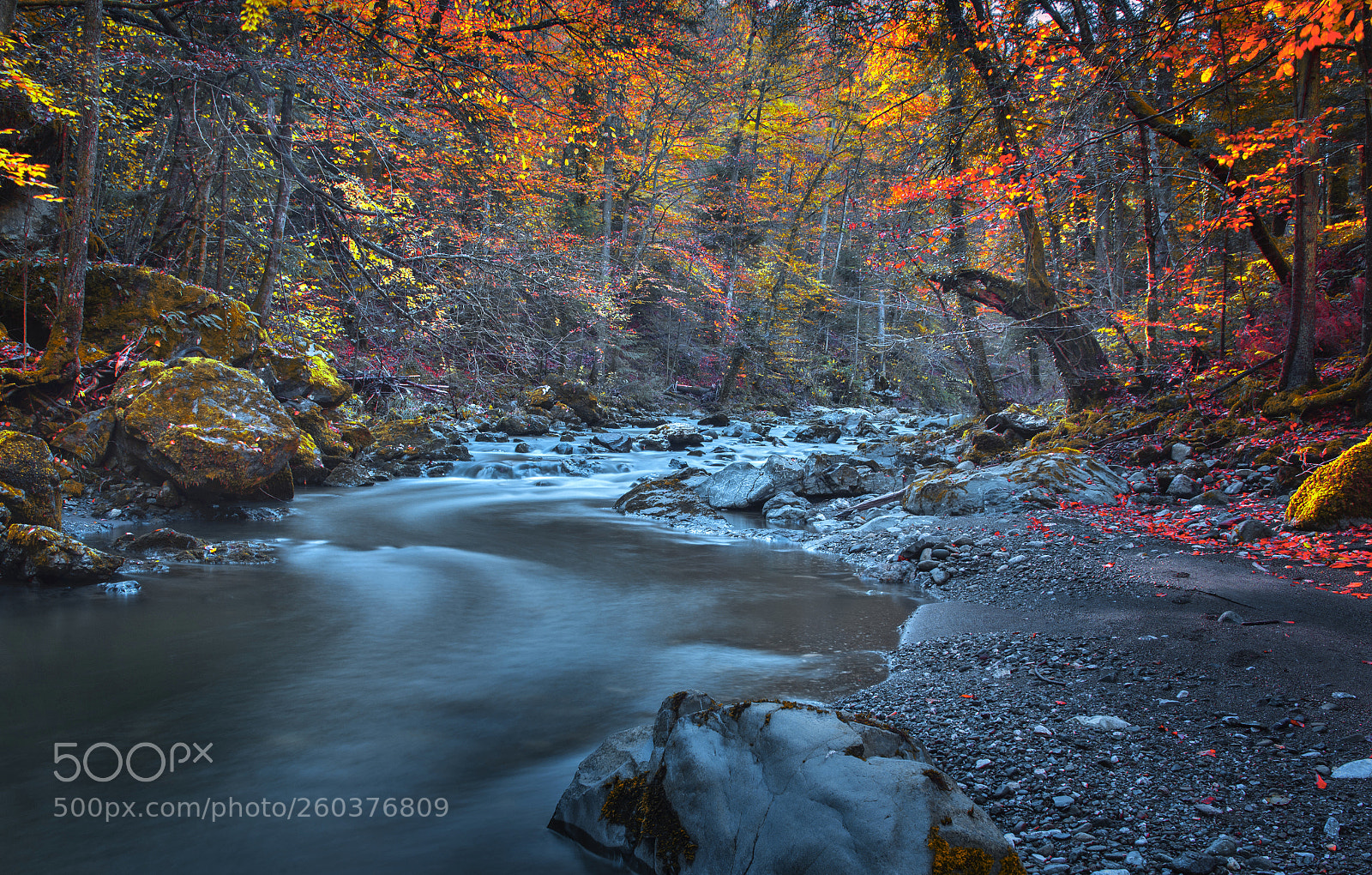 Nikon D610 sample photo. Autumn scene photography