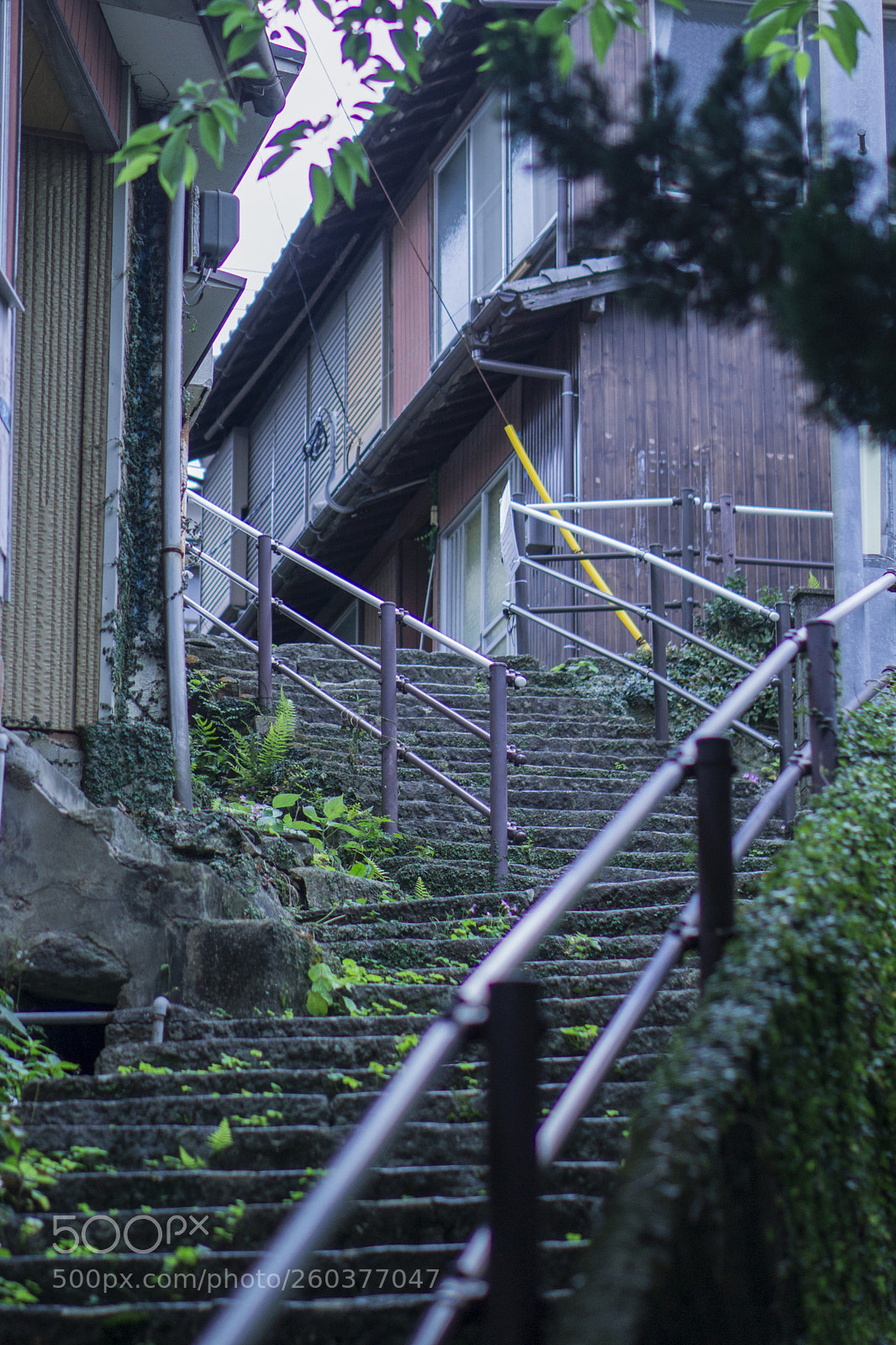 Sony a6000 sample photo. Machi photography
