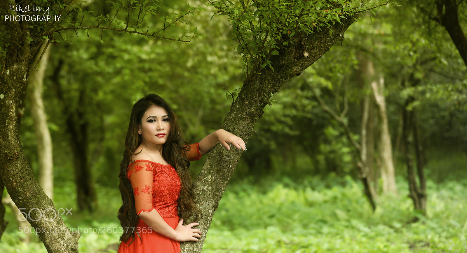 Canon EOS 5D Mark IV sample photo. Untitled photography